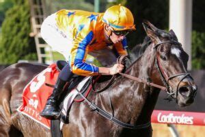 AJ Moir Stakes 2023 Odds & Field .